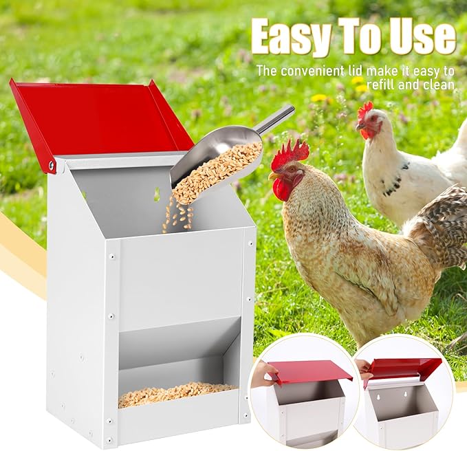 Automatic Chicken Feeder 10lbs Metal Chicken Feeder No Waste Wall Mounted Poultry Feeder Trough with Scoop for Chickens Ducks Quail Geese Pet
