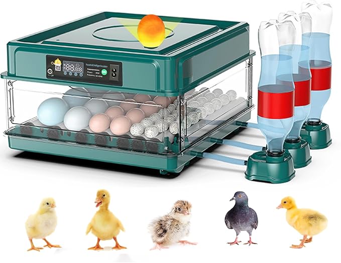 Automatic Egg Incubator 12-38 Eggs Automatic Poultry Intelligent Incubator for Hatching Eggs,with Automatic Turner, Egg Candler&Temperature Control,for Hatching Chicken Quail Bird Duck Eggs (38 EGGS)