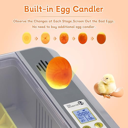 Automatic Egg Incubator, Automatic Egg Turner with Thermometer Control & Humidity Control, Egg Candler, 360°View,Incubator for Hatching Chicks-36 Egg Capacity