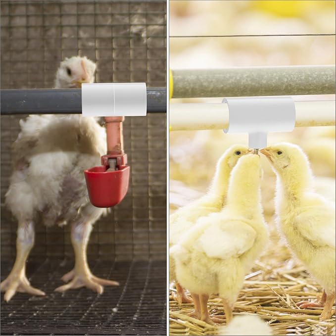 QWORK Chicken Waterer PVC Tee Fittings, 20 Pack PVC Pipe Fitting, Fully Automatic for Threaded Poultry Drinker, White