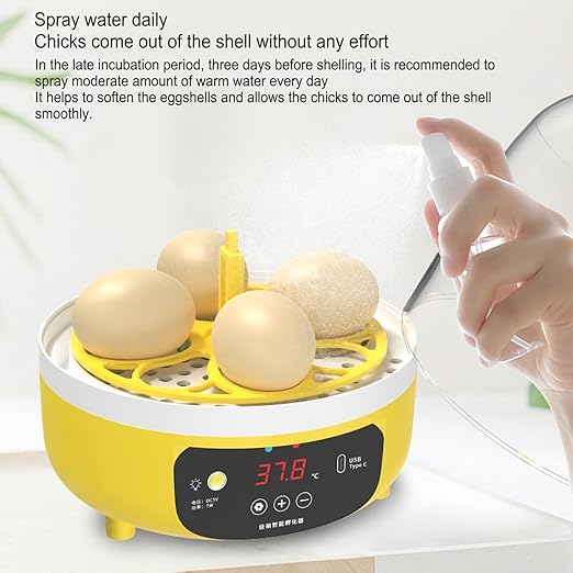 4 Eggs Incubator, Automatic Temperature and Humidity Control Eggs Hatching Incubator, Visual Low Noise Energy Saving USB Mini Poultry Hatcher for Eggs, Pigeon Eggs, Quail Eggs
