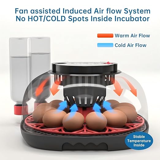 12-24 Egg Incubator with Humidity Display, Egg Candler, Automatic Egg Turner, for Hatching Chickens Duck Quail Parrot
