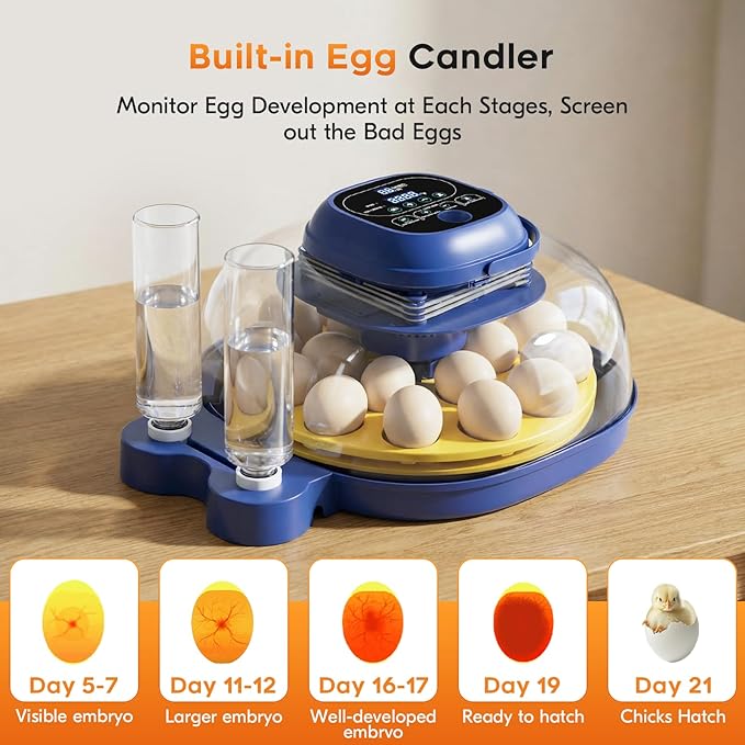 18-33 Egg Incubator for Hatching Eggs, Automatic Egg Turning, Egg Candler, Temperature/Humidity Control, Incubator for Hatching Chicken, Quail, Duck Eggs, 360° Clear View for Home, Classroom, Farm