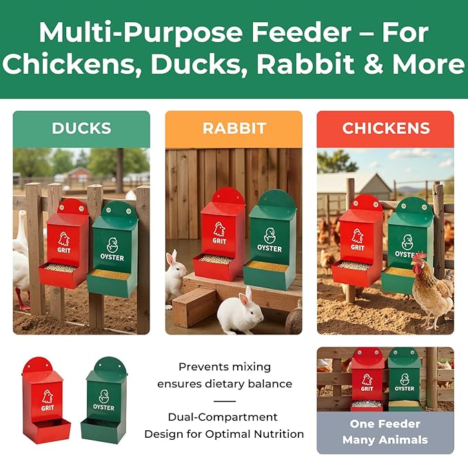 Rustproof Chicken Grit and Oyster Shell Feeder 2 Pack, Heavy Duty Metal Poultry Feeders for Coop or Fence, Rainproof Dual Compartment Wall Mounted Feeder for Outdoor Chicken Coops