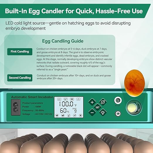 Incubators for Hatching 196 Eggs with Automatic Egg Turning,Temperature & Humidity Control- Automatic Water Pump, 5 Automatic Incubation Modes, for Chicken, Duck, Goose, Pigeon, Quail, Parrot Eggs