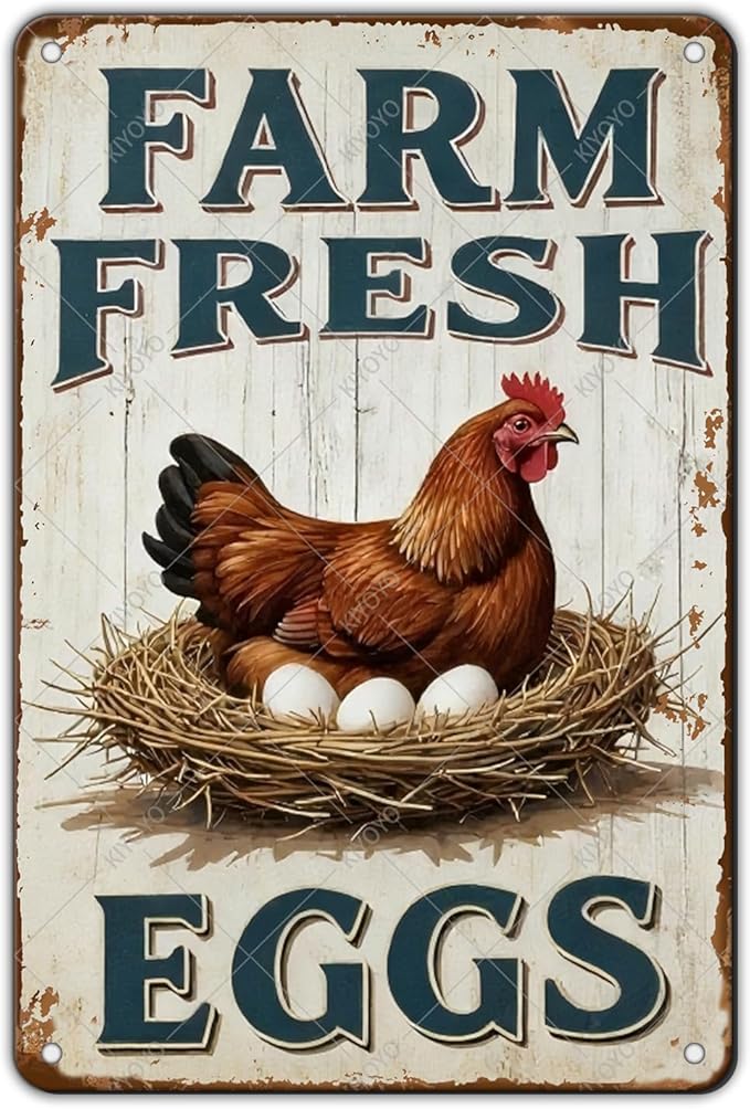 Funny Rooster Decor Vintage Farm Fresh Eggs Chicken Tin Sign for Chicken Coop Farm Garden Yard Decor 12x8 Inch
