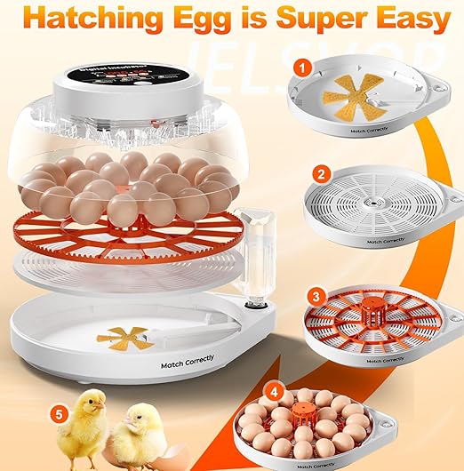Upgraded Egg Incubators for Hatching Eggs, 22 Egg Incubator with Automatic Egg Turning, Temperature Control & Humidity Display, LED Candler, Incubator for Chicken, Duck, Quail Eggs