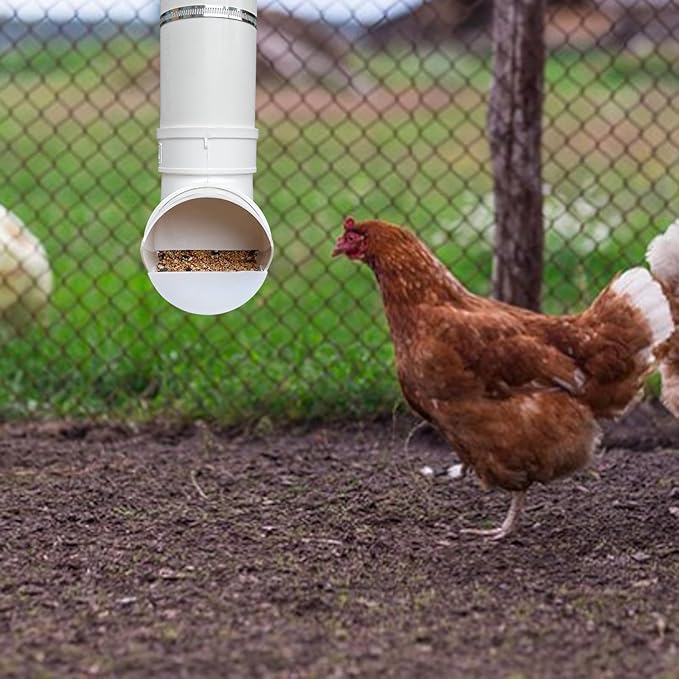 PVC Chicken Feeder,Outdoor Automatic Chicken Feeder,Chicken feeders no Waste,Wall Mount Weatherproof Chicken Gravity Feeder (White)