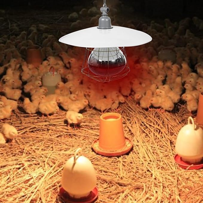 250W Chicken Coop Heater Heat Lamp for Chickens Livestock Brooder Lamp with Metal Guard Waterproof Heating Light for Dog House Winter Chick Poultry