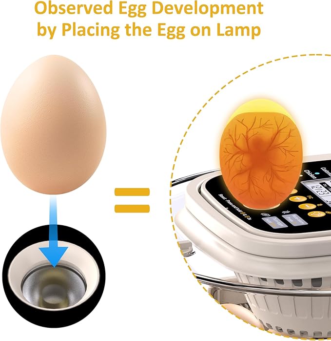 18 Incubators for Hatching Eggs, Egg Incubator with Automatic Egg Turning and Humidity Control, Intelligent Egg Incubator with Automatic Temp. Adjustment