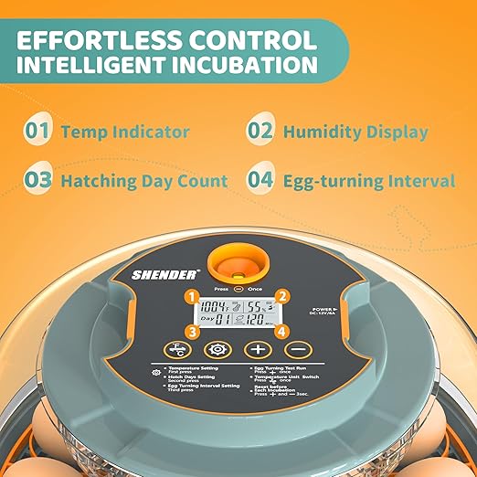 Egg Incubators for Hatching Eggs, Egg Incubator with Automatic Egg Turning and Humidity Control and Temperature Control, 18~36 Eggs Incubator for Chicken & Quail