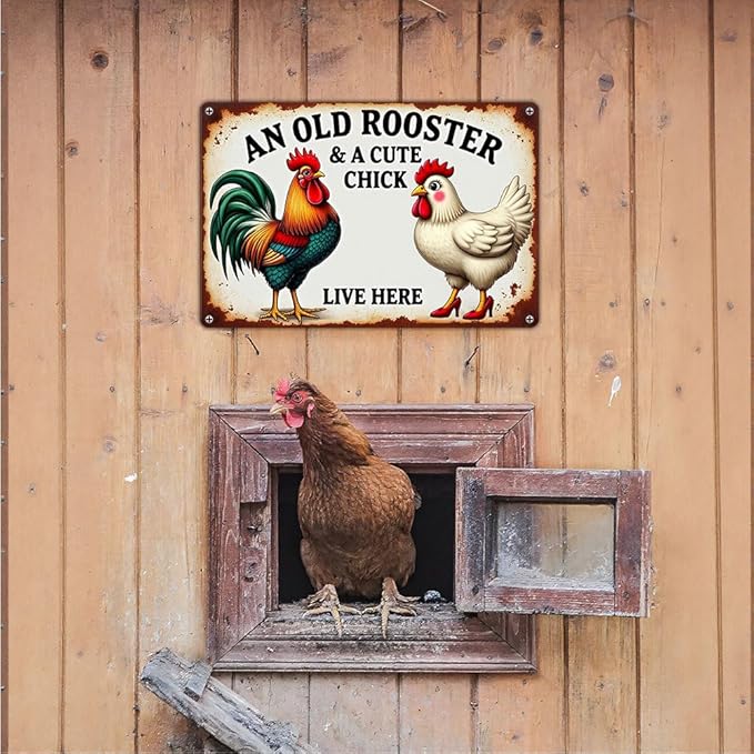 FunnySign Chicken Gifts Rooster Décor An Old Rooster & A Cute Chick Live Here Rustic Tin Sign For Home Farm Chicken Coop Decor 8x12 Inch (9713)