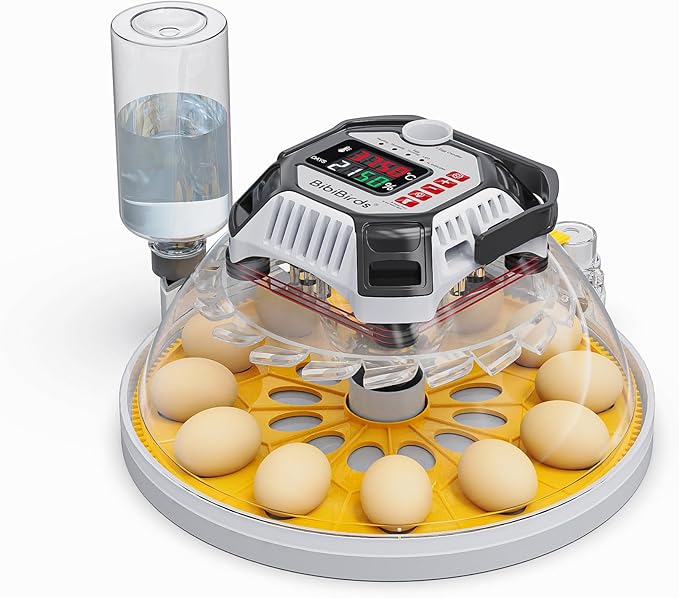 Incubators for Hatching Eggs with Automatic Humidity - MS12,Egg Incubator with Automatic Egg Turning and Digital Humidity Control to Hatch Chicken, Quail, Duck