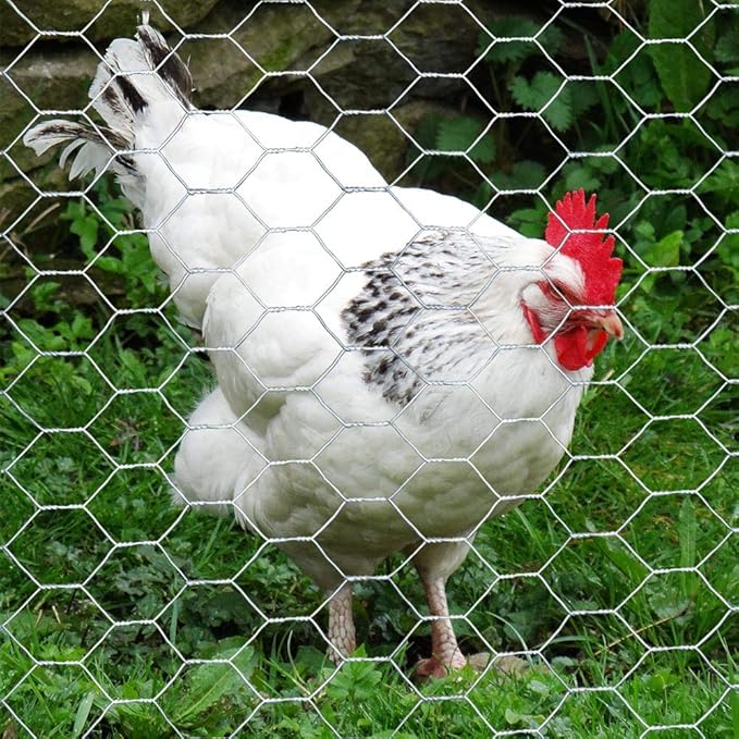 MTB Supply 20GA Galvanized Hexagonal Poultry Netting Chicken Wire 12 inches x 150 feet x 1 inch Mesh