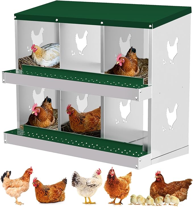 6-Compartment Metal Chicken Nesting Box - with Perch, Secure Lid & Metal Legs, Wall-Mount or Free-Standing Nesting Boxes for Hens
