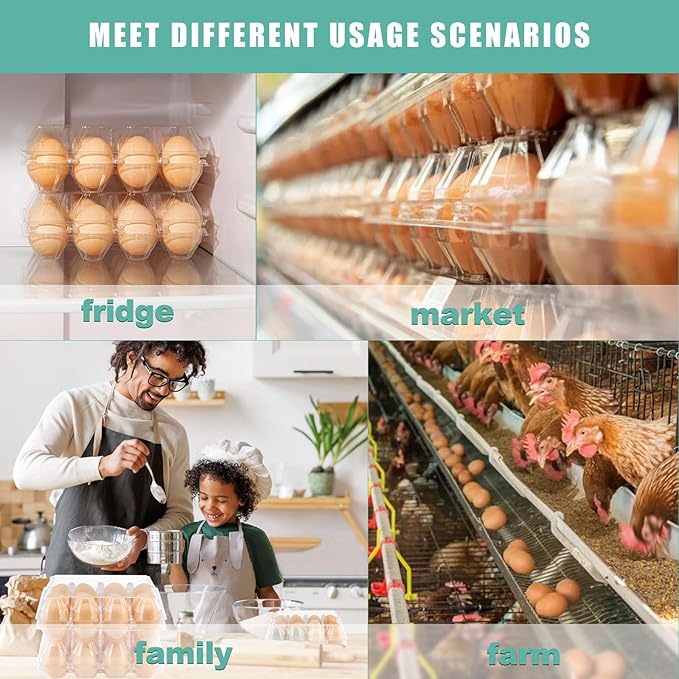 100 Packs 12 Count Clear Plastic Egg Cartons, 3 * 4 Grids Design, Perfect for Family, Farm, Markets, Display(Large)