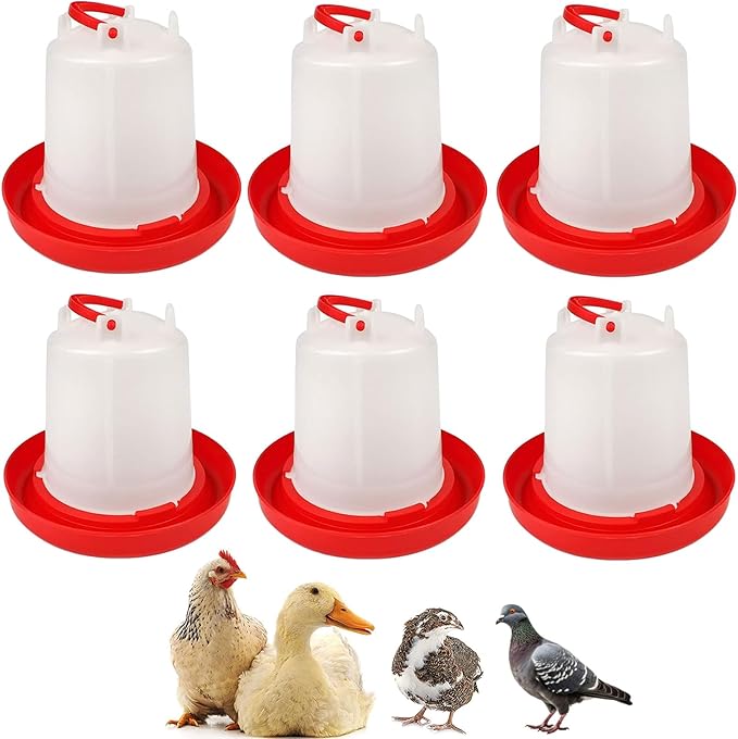 6 Pack 3L Chicken Water for Brooder – Poultry Drinker | Water Dispenser for Chicks, Ducks, Quail, Pigeons, and Backyard Coop Use