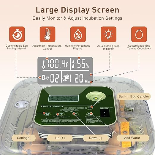 4th Gen – 12 Egg Fully Automatic Incubator, 2026 Upgraded Design, Intelligent Sensor-Based Humidity & Temp Control, Custom Hatch Days, Adjustable Auto Turnn with Auto-Stop, 360° View, Alarm, Candler