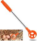 Egg Grabber for Chicken Eggs – Extendable Stainless Steel Egg Picker Tool with Non-Slip Handle,195cm/76.8inch Egg Scooper Tool for Chicken coop, Poultry Nest, and Farm Use
