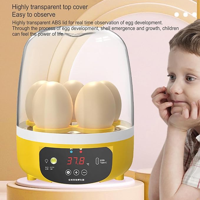 4 Eggs Incubator, Automatic Temperature and Humidity Control Eggs Hatching Incubator, Visual Low Noise Energy Saving USB Mini Poultry Hatcher for Eggs, Pigeon Eggs, Quail Eggs