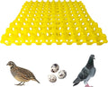 Hen's Choice 90 Egg Plastic Trays for Quail, Pigeon, Dove, Birds. Incubator Flat Carton (Yellow, 6 Pack)