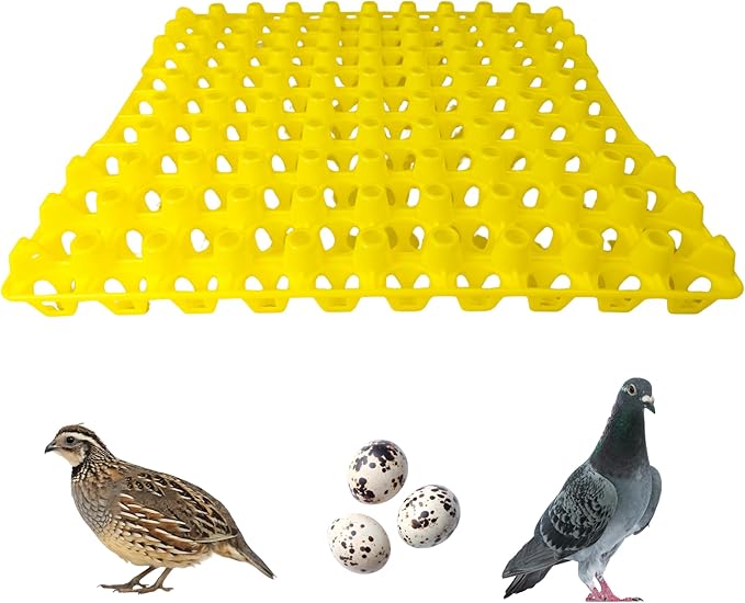 Hen's Choice 90 Egg Plastic Trays for Quail, Pigeon, Dove, Birds. Incubator Flat Carton (Yellow, 12 Pack)
