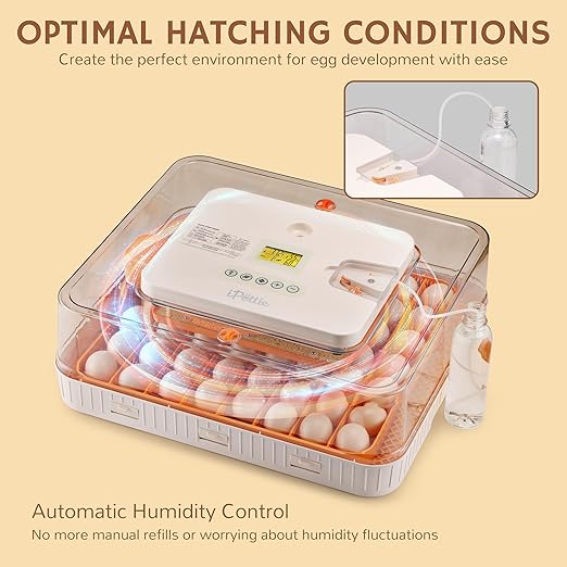 iPettie ProHatch56 Egg Incubator for Hatching Eggs with Automatic Egg Turning & Humidity Temperature Control, 56 Eggs Capacity for Chicken Eggs, Duck Eggs, Quail Eggs, Temperature Alarms