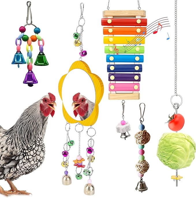 BNOSDM 5 Packs Chicken Xylophone Toy for Hens Chicken Mirror Toy with Bell Chicken Coop Toys and Accessories Veggies Skewer Fruit Holder Vegetable Hanging Feeder for Chicks Hens Roosters