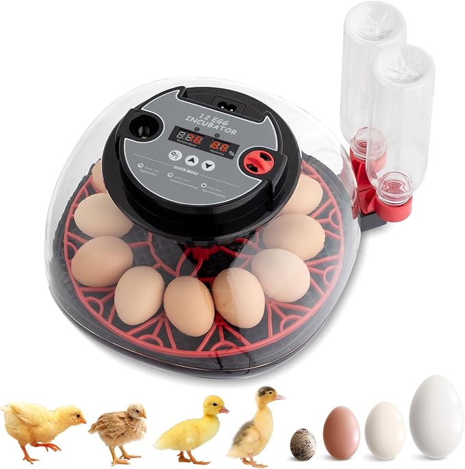 Winado Incubators for Hatching Eggs, 12 Egg Incubator with Auto Water Replenishment & Automatic Egg Turning & Temperature Control, Egg Candler, Duck, and Quail Eggs Hatching