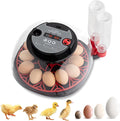 Winado Incubators for Hatching Eggs, 12 Egg Incubator with Auto Water Replenishment & Automatic Egg Turning & Temperature Control, Egg Candler, Duck, and Quail Eggs Hatching