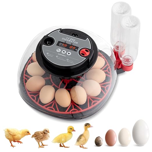 12 Egg Incubator with Automatic Egg Turning,Chicken Egg Incubator,LED Egg Candler,Automatic Farm Poultry Egg Incubators,for Hatching Chickens,Ducks,Geese,Birds,Pigeons and Quail Eggs (Red & Black)