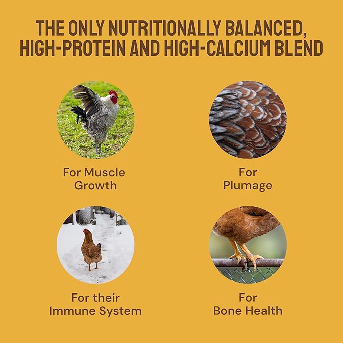 Hatortempt Chicken Feed Supplement - High-Protein Foraging Mix - Poultry Treats for Chickens - Calcium-Rich Poultry Grit for Shell Support - Dried Mealworms & Grubs for Enrichment - Bird Food (5lb)