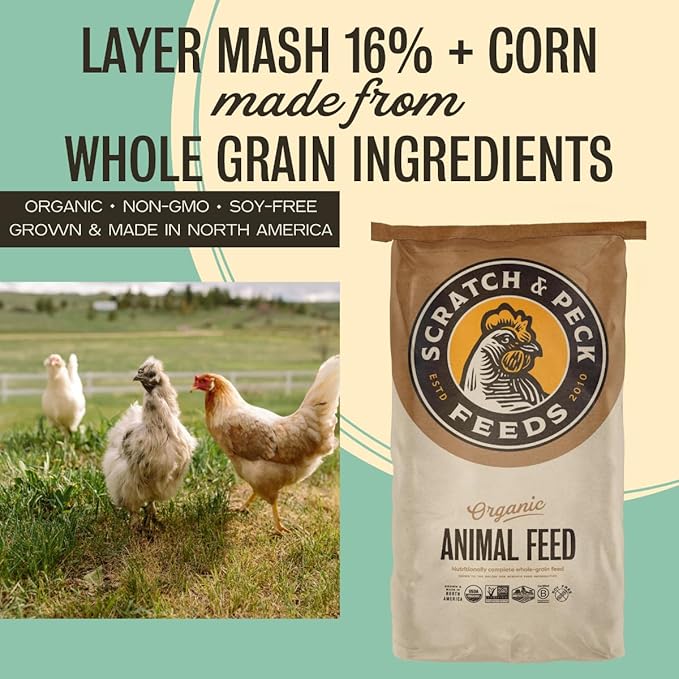 Scratch and Peck Feeds Whole Grain Layer Mash + Corn Chicken and Duck Feed - 40 lbs Bag - Soy-Free - 16% Protein, Certified Organic and Non-GMO Project Verified Chicken Food