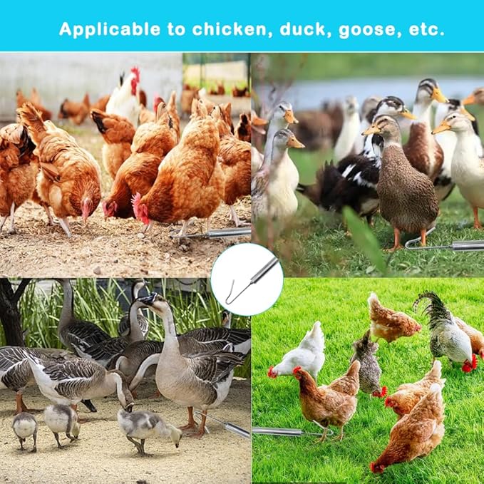 Chicken Catching Net，Adjustable 35-78 Inch Chicken Catcher Leg Hook Tool Kit with A Replaceable Net,Long Handle Animal Catcher Pole Suitable for Catching Small Duck,Goose,Bird, Skunk Bat and Fishnet