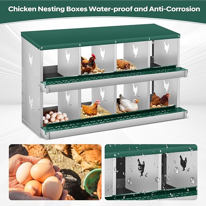 Garvee 8 Compartment Chicken Nesting Box, 2 Layer Wall Mount/Free Standing Poultry Nest for Chickens, Hens, Ducks, Metal Chicken Laying Boxes with Perch, Secure Lid, Vented Holes, Green
