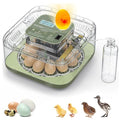 Incubators for Hatching Eggs, 12 Eggs Capacity, Egg Incubator with Automatic Egg Turning and Humidity Control for All Poultry - Chickens, Ducks, Quails, Turkeys, and More