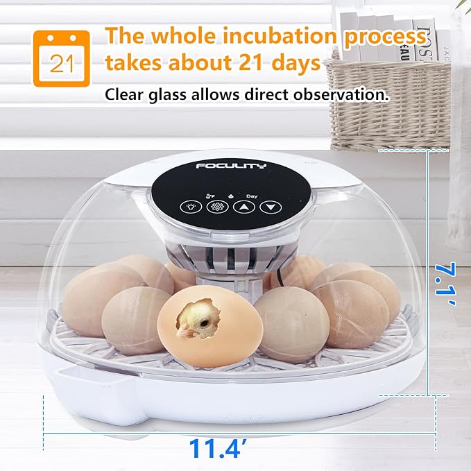 Egg Incubators for Hatching Eggs with Smart Automatic Turning Small Poultry Duck Quail 12 Eggs Chicken Incubator Temperature Days Control Humidity Display Candler Hatcher Machine, Fahrenheit