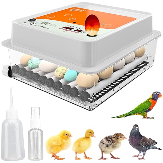 OBI-36 Incubator for Hatching Eggs – 36 Eggs, Easy to Use, Stable Temperature & Humidity Control with Eggloo Insulation - Orange
