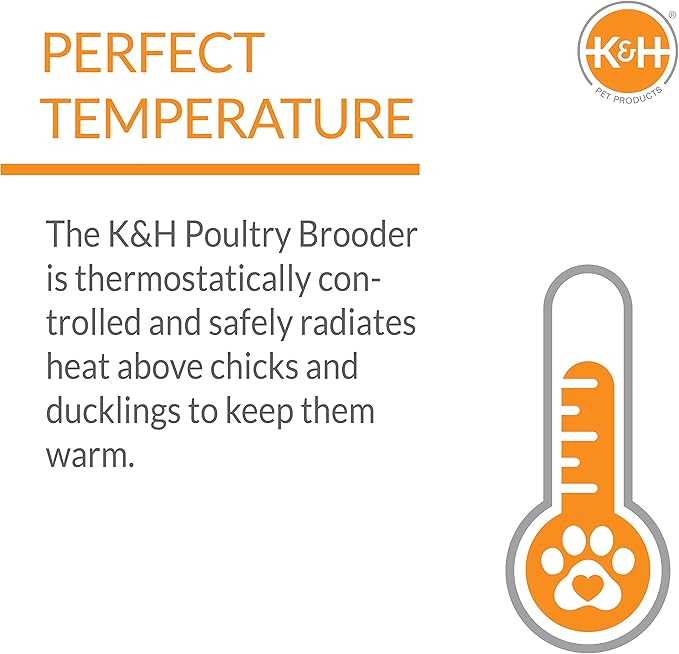 K&H Pet Products Chicken Brooder Heater for Chicks Ducklings, Adjustable Heating Plate for Brooder Boxes, Warms up to 30 Chicks, Chicken Coop Poultry Heating with Safety Light, Large 40 Watts