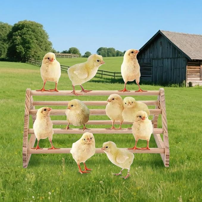 Roosting Bars for Chickens in Coop - Chicken Perches Roostys, Wooden Roosting Bars for Hens, Large Jungle Gym Stand for Curious Birds, Parrot Perch for Indoor & Outdoor Use (3 Set)
