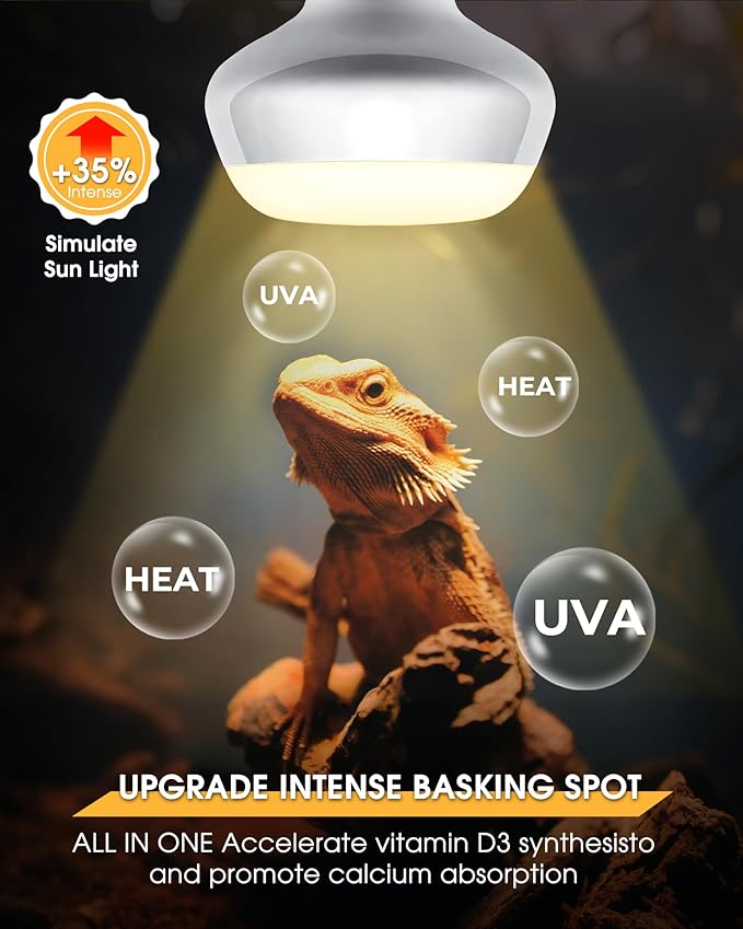 EvaStary Reptile Heat Bulb, 100W Simulated Natural Daylight Reptile Basking Spot Light Bulbs, UVA Reptile Heat Lamp Bulbs for Reptiles, Bearded Dragon, Lizard, Amphibian, Turtle, Snake, Chicken, 2Pack