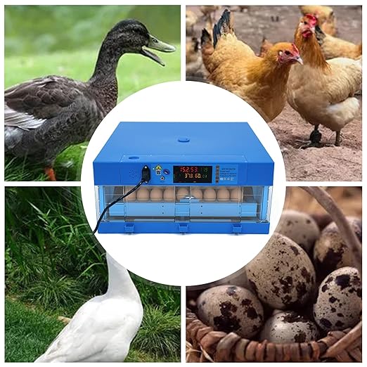 64 Eggs Incubator, Automatic Smart Eggs Digital Incubator Household Mini Incubator Box Egg Water Bed w/Fully Automatic Egg Turning and Humidity Controle for Chickens Goose Birds Ducks