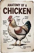 Retro humor wall art sign featuring Anatomy Of A Chicken Metal Tin Sign Classroom Farm Decor Perfect For Hanging In Coop Rustic Vintage Finish Educational 8x12 inch metal sign for home bar wall