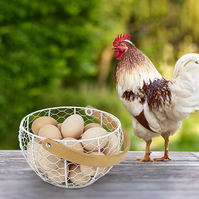 Wire Egg Basket for Gathering Fresh Egg Collecting Basket With Handle, Large Capacity Egg Holder Countertop, Metal Vintage Chicken Egg Basket for Farmhouse Kitchen Counter Decor Fruit Storage (White)