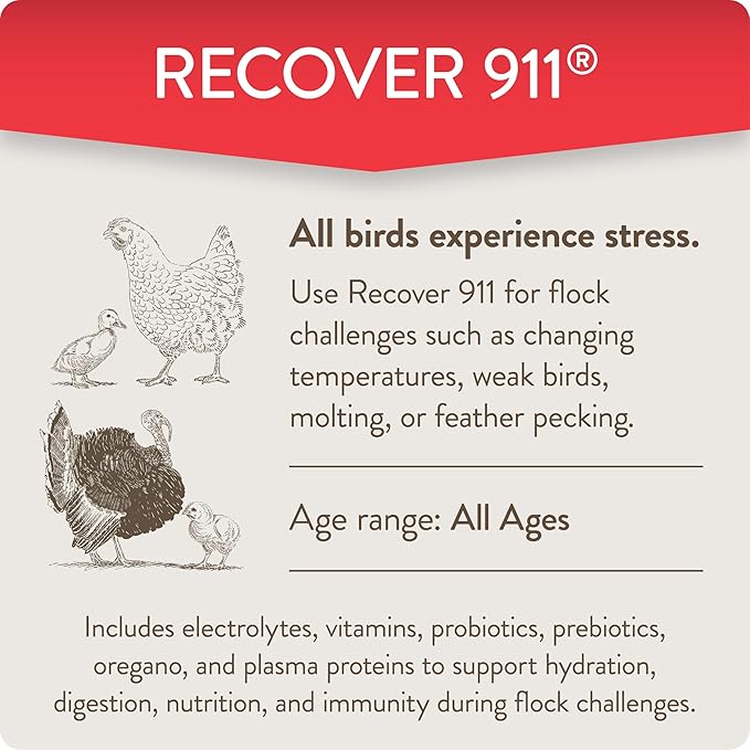 Recover 911, Severe Stress Probiotic Water Supplement for Chickens with Electrolytes, Prebiotics & Oregano, Molting, Extreme Weather, and Predator Attack Support, 8 oz (Pack of 2)