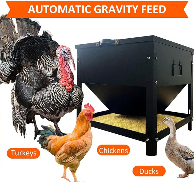 Large Capacity Automatic Chicken Feeder 80lbs Metal Poultry Feeder Set,with Latch & Handle Suitable for Chickens, Ducks, Turkeys（Adjustable Height）