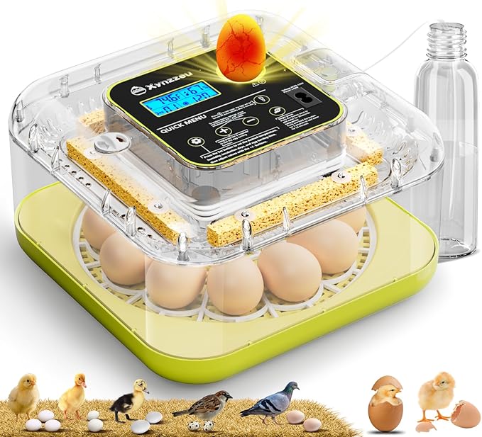 Egg Incubators for Hatching Eggs, 12 Egg Incubator with Automatic Egg Turning and Humidity Control, Incubator for Chicken/Quail/Duck Eggs with Temperature Control/LED Egg Candler, 360 Degree View