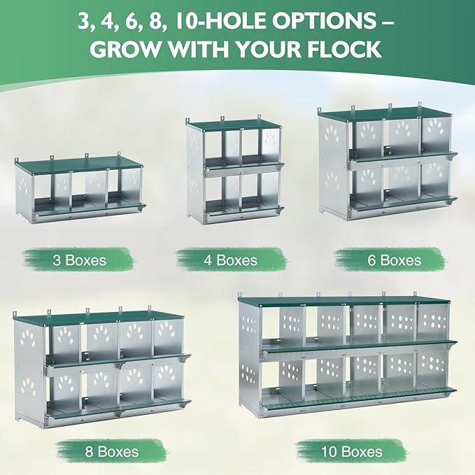 EAGLE PEAK 4-Hole Wall Mounted Chicken Nesting Box, Roll Away Hen Laying Box with Sloped Roof & Easy Clean Tray, Galvanized Steel for Backyard Chicken Coops (Green)