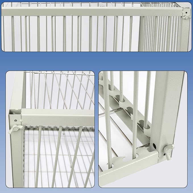 Chicken Trap Cage with Escape-Proof Design – Auto Bird Trap Cage for Chickens and Large Birds | Multi-Catch Pigeons Ducks Traps for Sale with Well Anti-Rust Baking Paint-XL Size