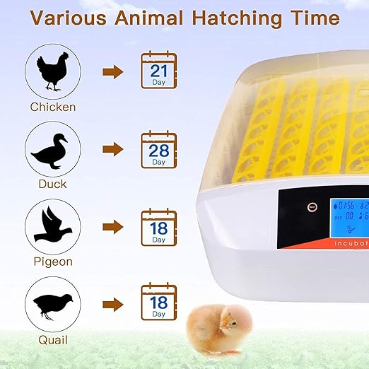 Egg Incubator with Auto Turner & Humidity Control – High Hatch Rate Poultry Hatcher for Chicken Duck Quail, 360° View & Stable Temp System, Ideal for Farm & Home Breeding (55 Egg)